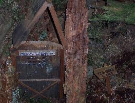 merry and pipin's home