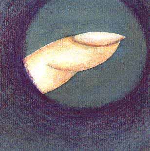 nail