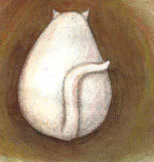 tail